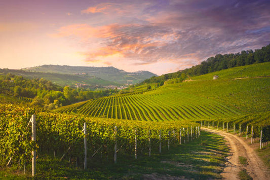 Wine is Not Made in Ugly Places
