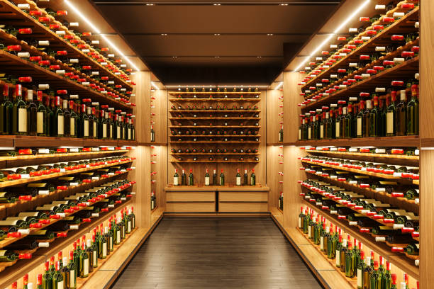 Best Wine Coolers for Aging Red Wine at Home