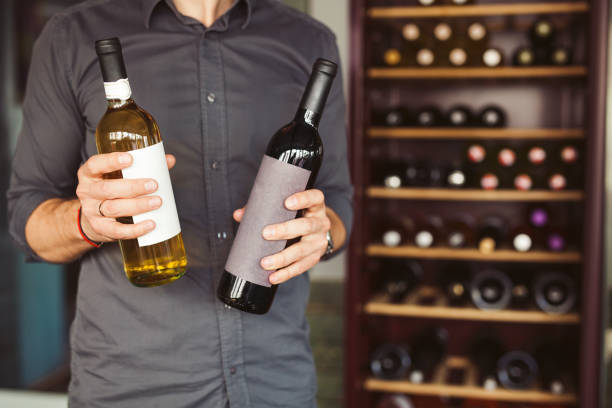 Wine Cooler Refrigerators