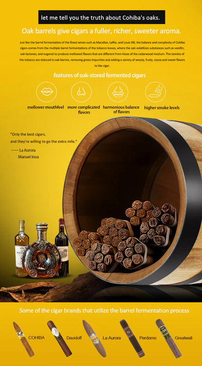 Raching COH300A Precision Climate-Controlled Cigar Humidor Cabinet | 1100 Cigar Capacity