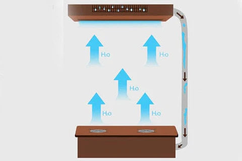 Raching C230A Precision Climate-Controlled Cigar Humidor Cabinet | 1000–1200 Cigar Capacity