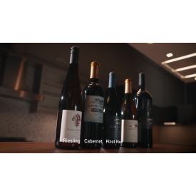 Zephyr Presrv™ Single Zone Wine Cooler