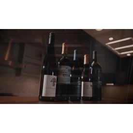 Zephyr Presrv™ Panel Ready Dual Zone Wine Cooler